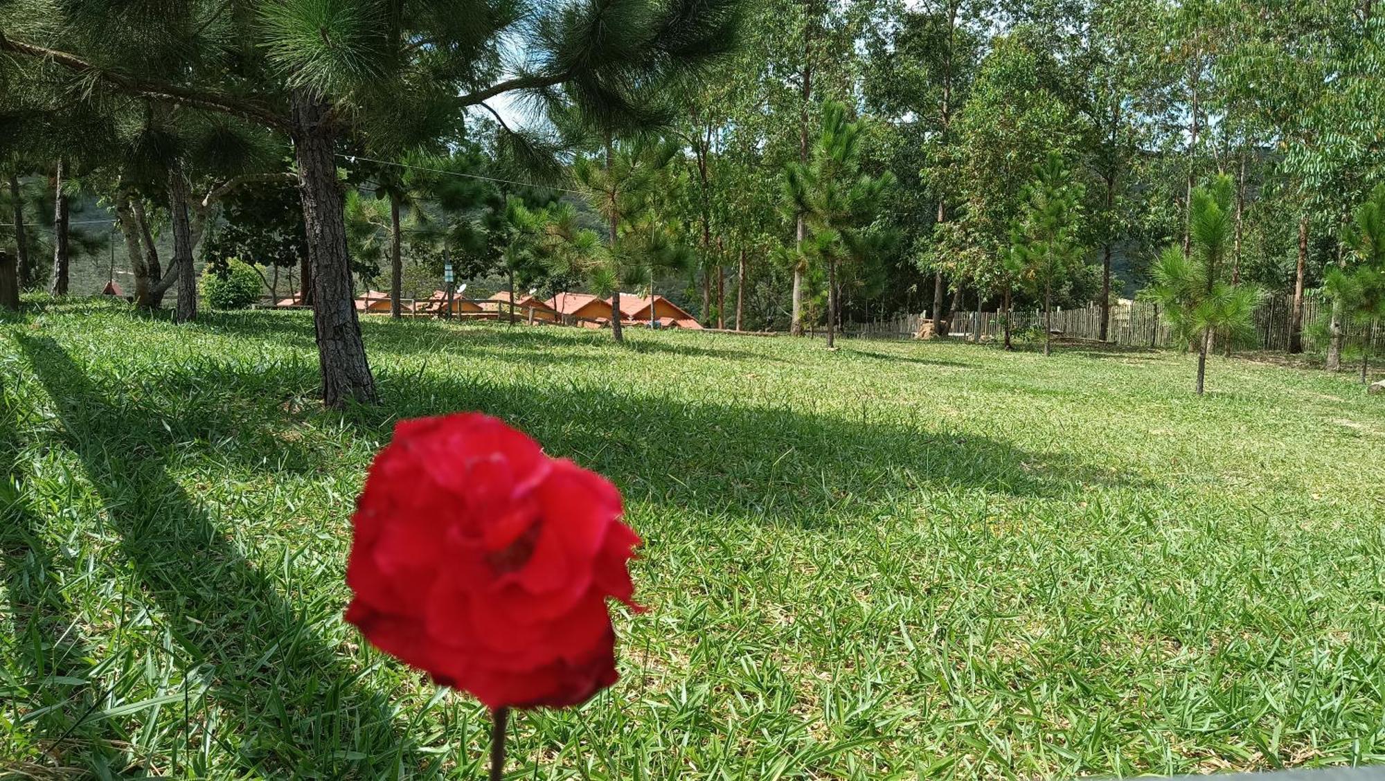 Chales E Camping Do Robinho 1 São Tomé das Letras Exteriér fotografie